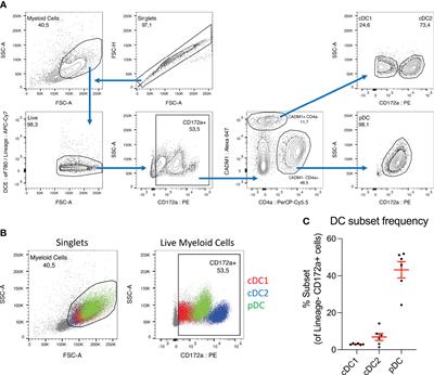 Ascaris suum excretory/secretory products differentially modulate porcine dendritic cell subsets